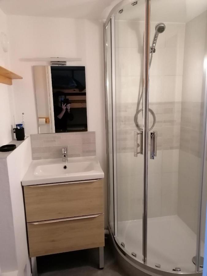 Studio Montagne A La Pierre St Martin Арет Екстериор снимка