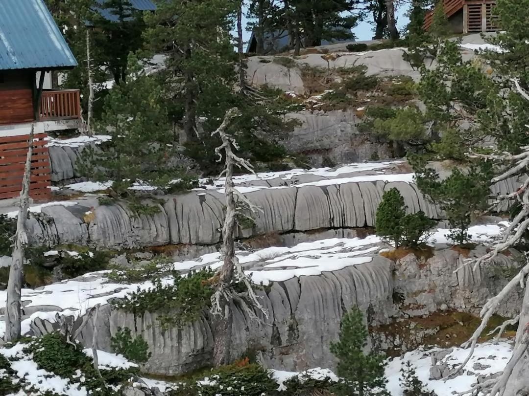 Studio Montagne A La Pierre St Martin Арет Екстериор снимка